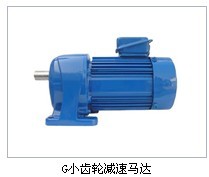 G小齿轮马达